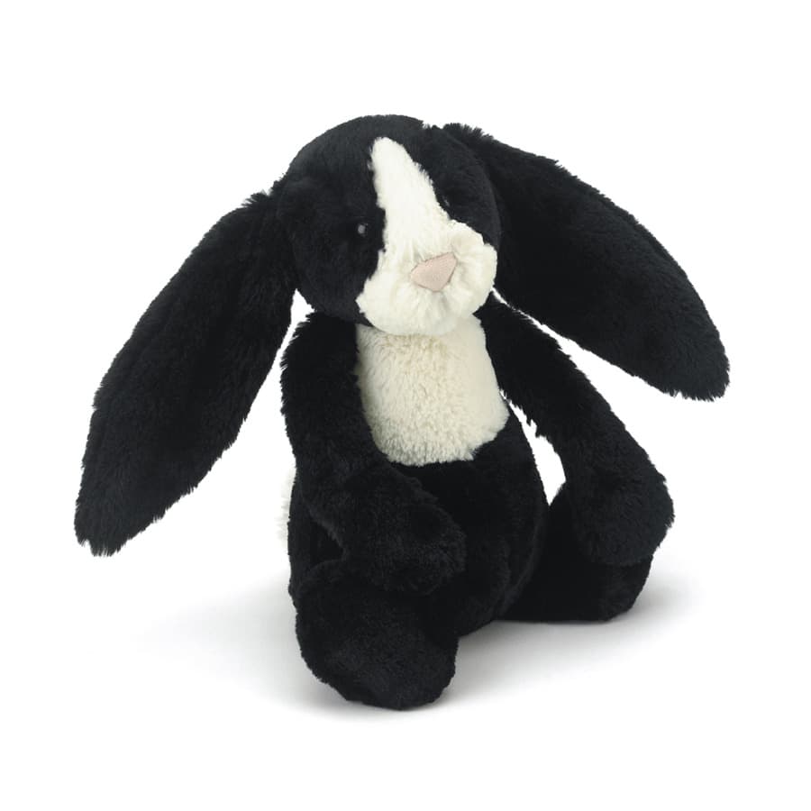 Bashful Dutch Bunny