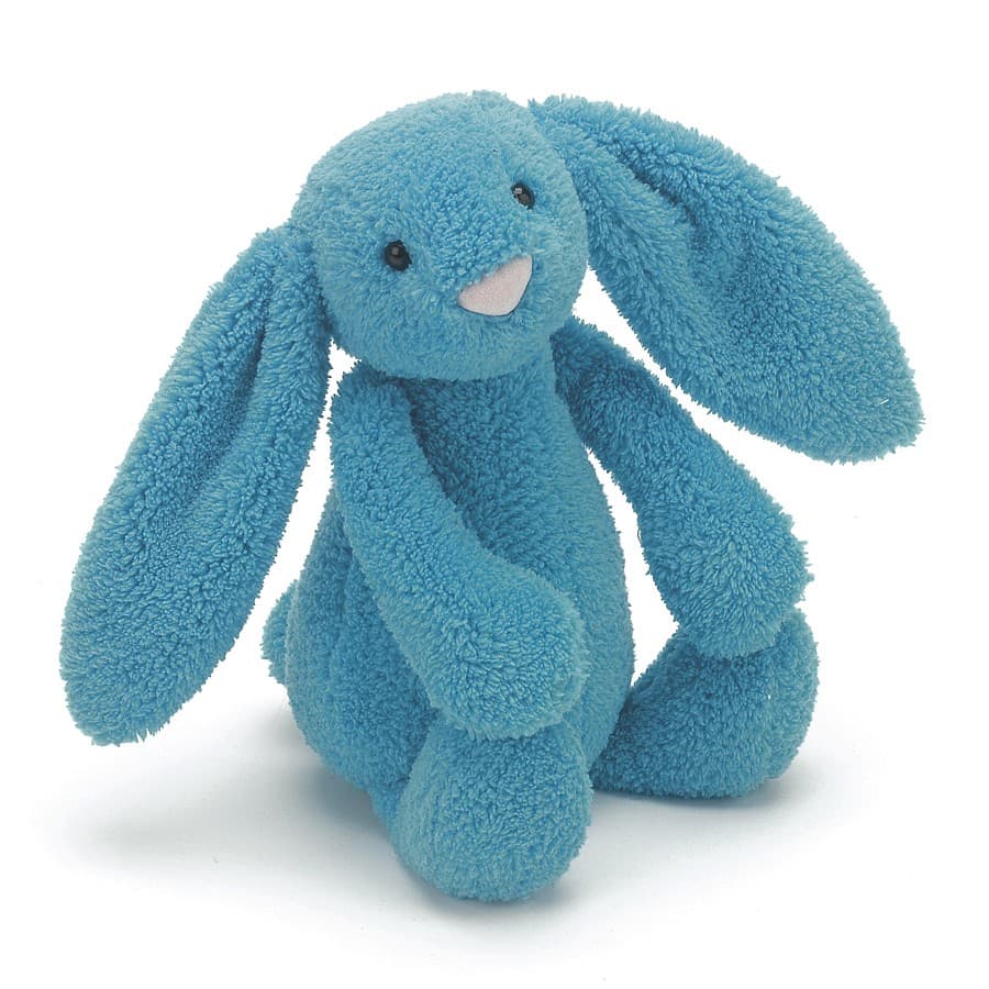 Bashful Quentin Bunny