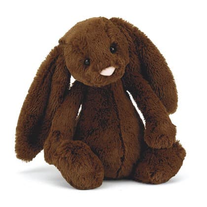 Bashful Chocolate Bunny